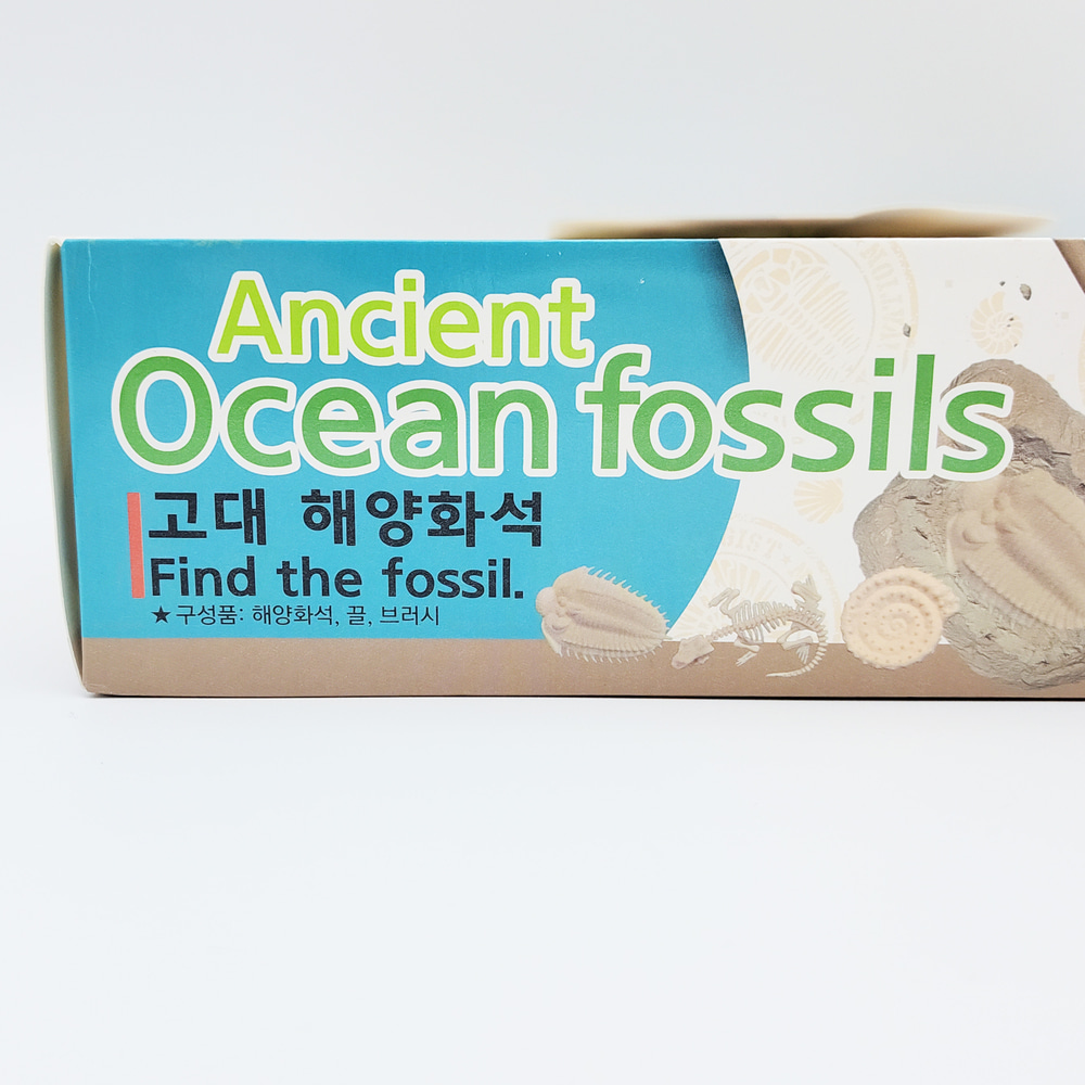 2000 고대 해양화석 발굴키트 12개입 1박스-화석완구