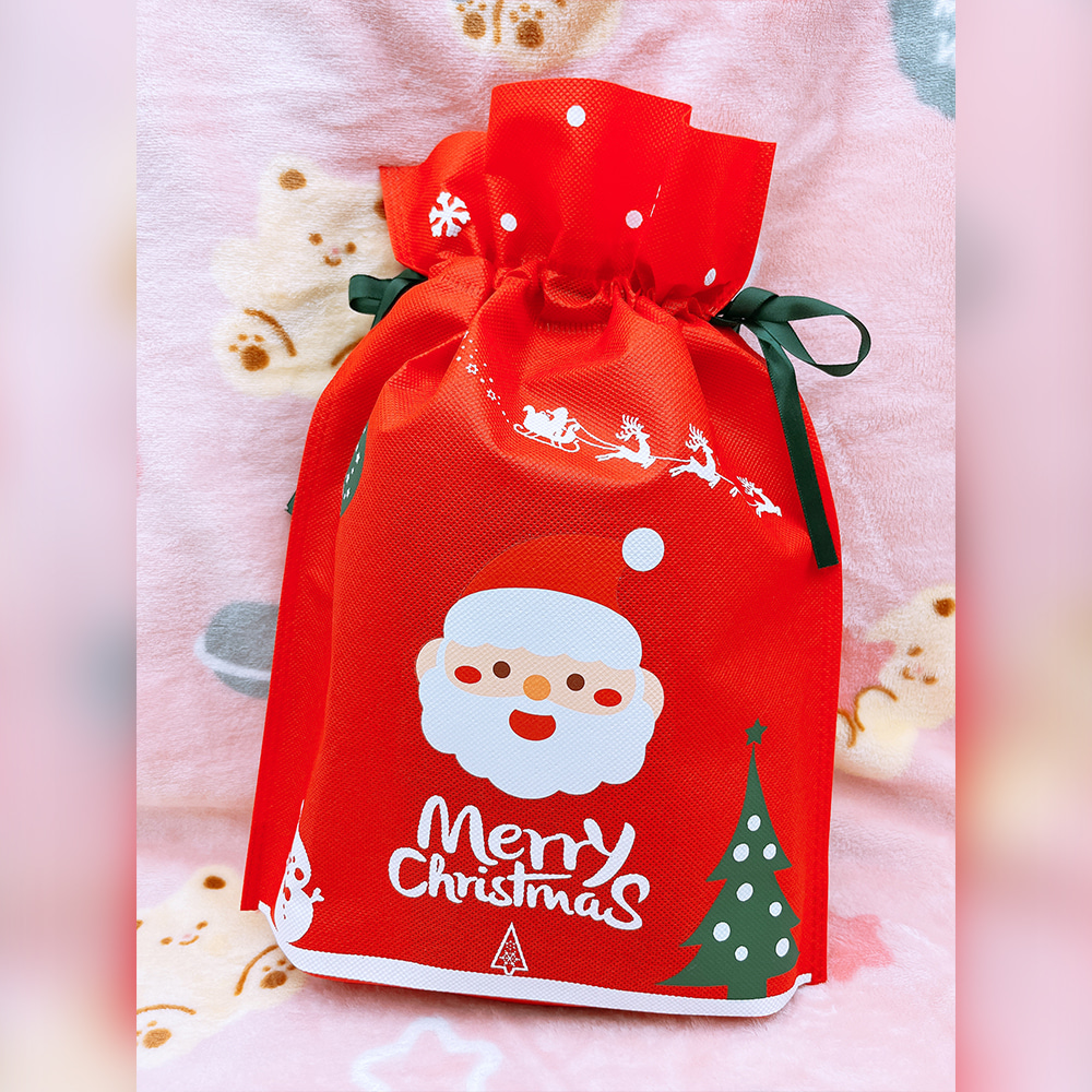 2000 크리스마스 선물 주머니 파티용품 20개묶음 - 구디백 파우치 산타선물 학원 교회 달란트